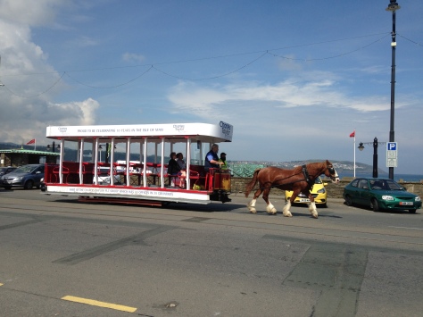 horse-tram